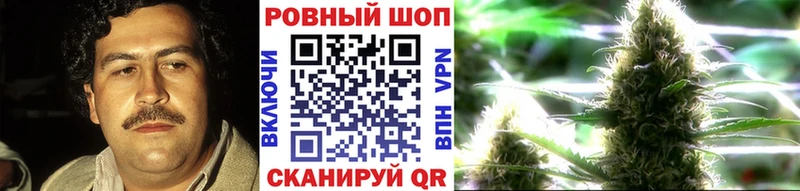 Магазин наркотиков Гатчина ГЕРОИН  АМФ  блэк спрут как зайти  A PVP  Марихуана  Гашиш 