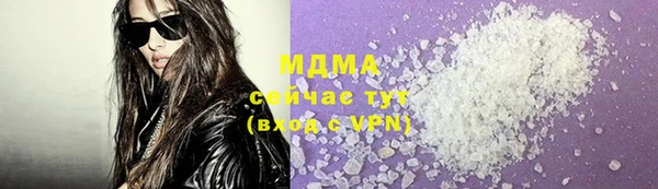 молекула духа Богданович