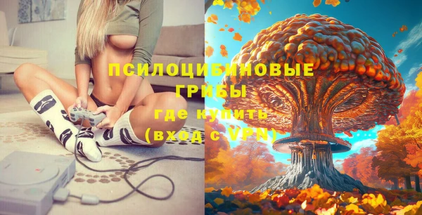 прущая мука Богородск