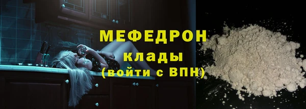 молекула духа Богданович