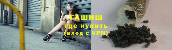 молекула духа Богданович