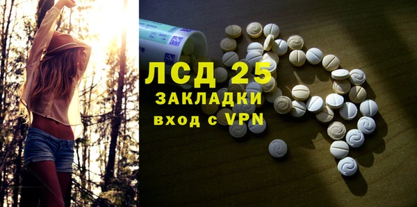 молекула духа Богданович
