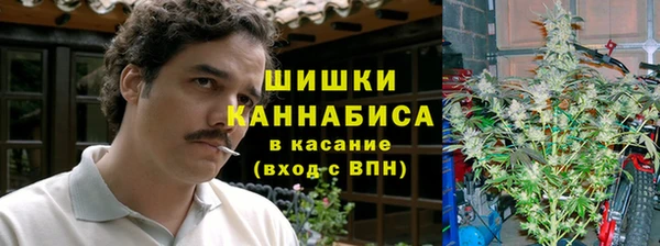 прущая мука Богородск