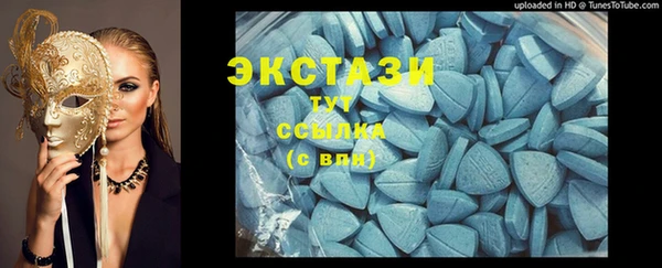 молекула духа Богданович