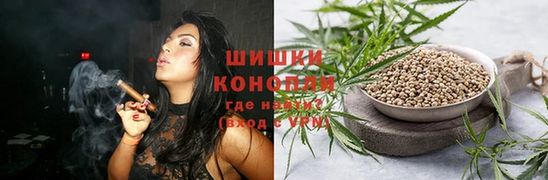 сатива Богородицк