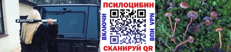 Псилоцибиновые грибы Magic Shrooms  Гатчина 
